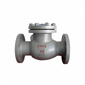 DN50 PN25 介質(zhì)：甲胺，溫度：80℃止回閥